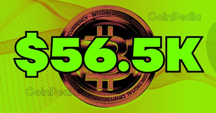 What to Expect in Q4 2024