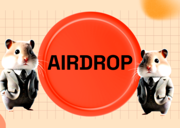 Where Exactly Did the Hamster Kombat (HMSTR) Airdrop Go Wrong?