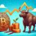Bitcoin Price Pauses, Eyeing a Fresh Increase: Can Bulls Deliver?