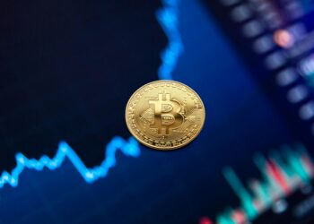 Bitcoin Supporter Says Crypto Will Surpass Gold And Oil