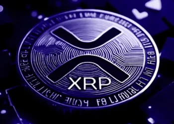 Bitwise Expands XRP ETF Filing with New Investor Protections, Things To know