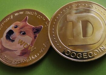 Dogecoin Active Addresses Skyrocket To Highest Level In 8 Months