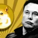 Elon Musk Spicing Up Dogecoin Rally, Will DOGE Continue Soar?