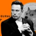 Elon Musk Teases ‘D.O.G.E.’ in Trump Campaign
