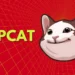 POPCAT Leads Crypto Market, Will the Rally Continue?