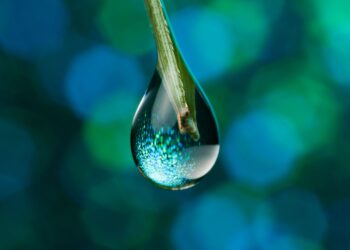 SUI Rallies 100%, But Signs Of Fatigue Emerge – Drop Incoming?