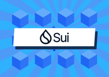 SUI’s All-Time High at Risk! Analyst Raises Alarm Amid 110% Rally