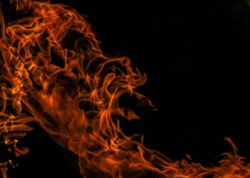 Shiba Inu Burn Rate Shoots Up 1,000% – Are New ATH Levels Just Around The Corner?