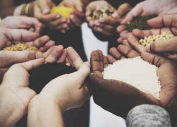 Shiba Inu Earns Recognition For Charitable Contributions – Impact On Price