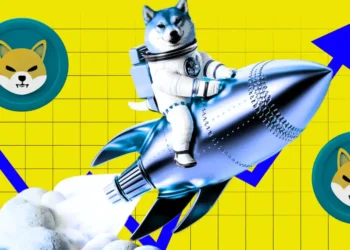 Shiba Inu (SHIB) Eyes 50% Rally, Insights from On-Chain Data
