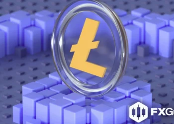 Spot Litecoin ETF Filed by Canary Capital, Will SEC Accept?