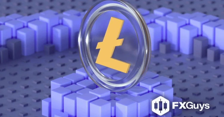 Spot Litecoin ETF Filed by Canary Capital, Will SEC Accept?