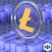 Spot Litecoin ETF Filed by Canary Capital, Will SEC Accept?
