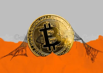 Why Crypto is Going Up? Factors Behind the Bitcoin Bull Run!