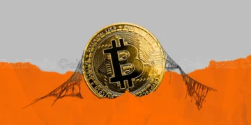 Why Crypto is Going Up? Factors Behind the Bitcoin Bull Run!