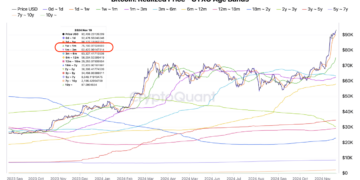 Analyst Reveals Bitcoin’s Hidden Price Zones: Key Levels Investors Need To Watch