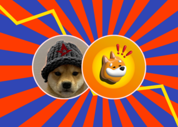 BONK Overtakes WIF, Becomes Solana’s Leading Meme Coin