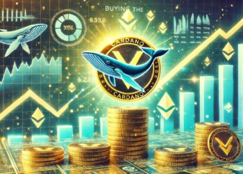 Cardano Whales Buy The Dip – Metrics Show Increasing Demand