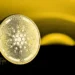 Cardano’s Eyeing $3? Analysts Predict Upcoming Surge Amid Strategic Collaborations