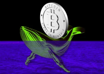 Here’s How a Bitcoin Whale Turned $120 to $182M in 14 Years