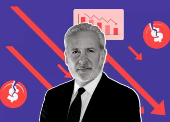 Peter Schiff Highlights Liquidity Risks If US Holds Bitcoin, Says It Could Trigger Market Crash