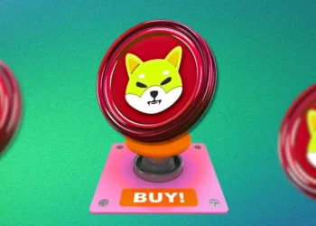 SHIB’s Large Transactions Surge by 98%, Buy Sign or What?