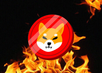 Shiba Inu Burn Rate Ignites 3,674% On Election Day, Will SHIB Move With Dogecoin Price To New ATH?