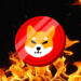 Shiba Inu Burn Rate Ignites 3,674% On Election Day, Will SHIB Move With Dogecoin Price To New ATH?