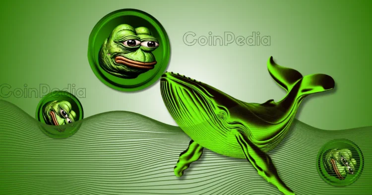 Time to Buy PEPE? $341.5 Million in Tokens Moves Off Exchanges