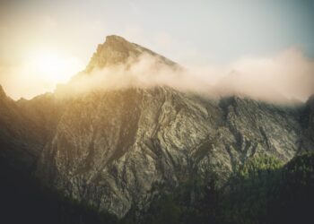 XRP Price Hits 3-Year High At $1.6