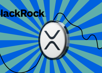 BlackRock Delays XRP ETF Plans, RLUSD Approval Sparks New Speculations