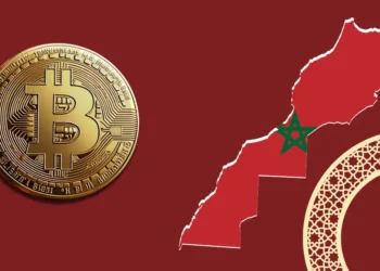 Collaborating with IMF and World Bank for Success