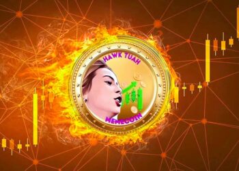Hawk Tuah Memecoin Crashes 91%: Controversy Surrounds Its Launch