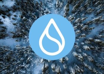 SUI Flashes Overbought Warning, Will A Price Correction Follow?