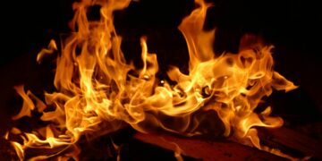 Shiba Inu Burns Spike 7,418% In One Week