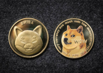 Shiba Inu Falls Below $0.00002631 As Bears Dominate The Market, Time To Buy?