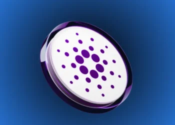 TVL on the ADA Network Hits $555 Million Amid Growing Whale Interest