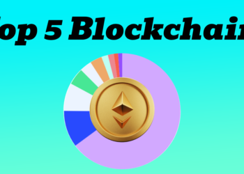 Top 5 Blockchains by TVL in 2024: Eth Dominates DeFi