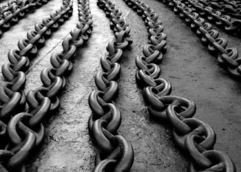 Whale Activity Sparks Chainlink Rally, $52 Target On Radar