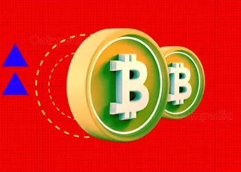 Who Holds the Better Bitcoin Strategy?