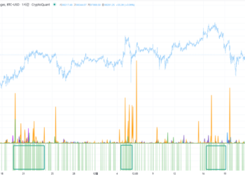 Who Profited During Bitcoin’s $100,000 Surge? Analyst Breaks Down the Data
