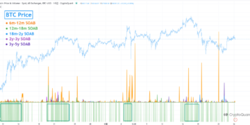 Who Profited During Bitcoin’s $100,000 Surge? Analyst Breaks Down the Data