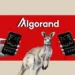 Why Algorand (ALGO) is the Best Bet Crypto Right Now?