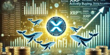 XRP Whales Loading Up – Data Reveals Buying Activity