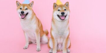 Galaxy Digital Reveals Bold Dogecoin Price Prediction For 2025