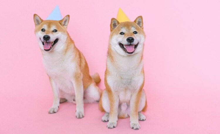 Galaxy Digital Reveals Bold Dogecoin Price Prediction For 2025