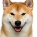 Shiba Inu Builds Momentum: ‘Monster’ Price Move Coming—Analyst