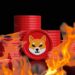 Whale Movements Push Shiba Inu Burn Rate To Stunning 4,100% Rise